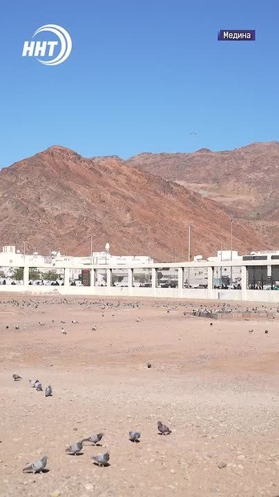 �����-������� � ������. ������ ������� � ��� ������ ��������� � ������� ���������