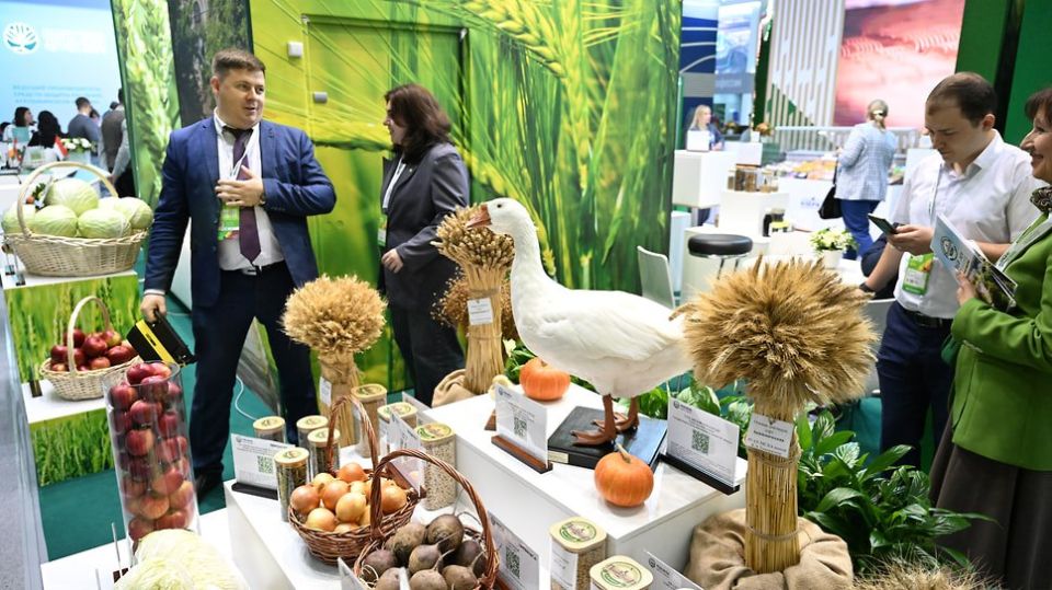 �������� �������� ������������ ���������������� �� 276 ���� ������