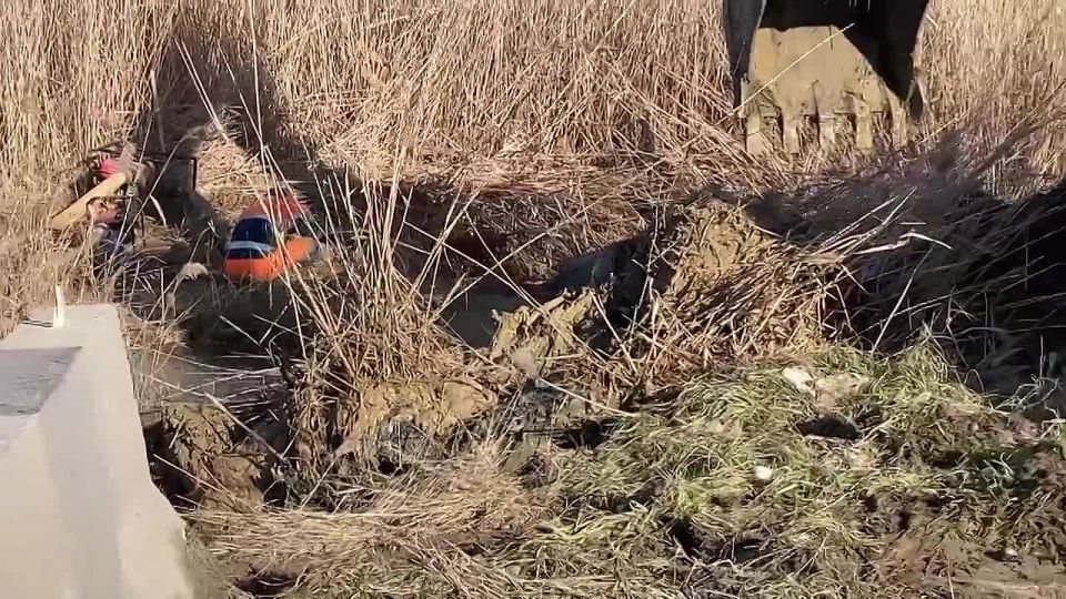 � ��������� ����������� ������ � ������������� �����