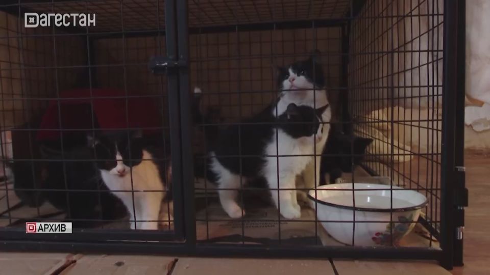 ����� ������ � ��������� ��� ��������� ���������