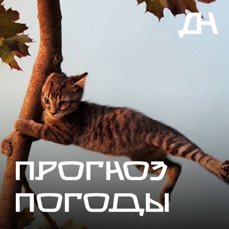 �� ���������� ���������� �������� �������������� ��������������� � ������� ����������������� �������: