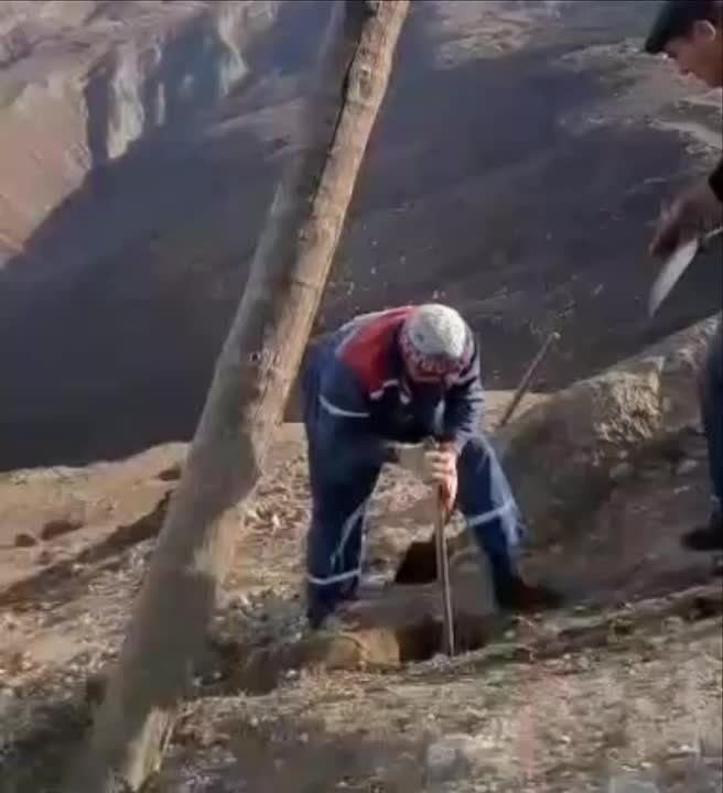 ������������ ���������� � ������� ���������� �������� �����������: