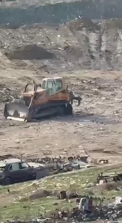 �� �������� �������� ���� �������� ���������� ����������� ������ ��� �������������� ����������