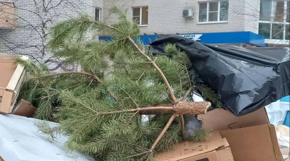 ������������ ���� ���������!