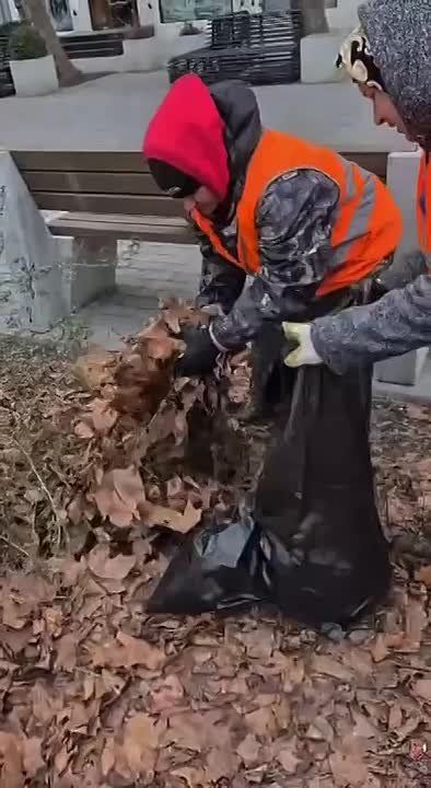 ������� ������ � �������� ������� �� ������, ������� � ���������� ��� � ���������