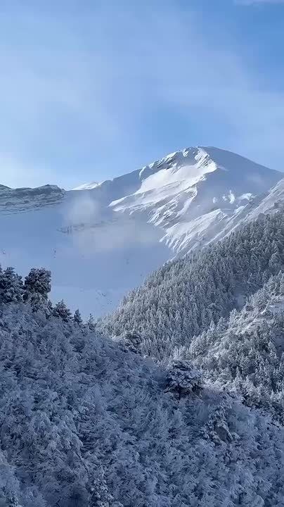 ������ ������ � ��������� ������