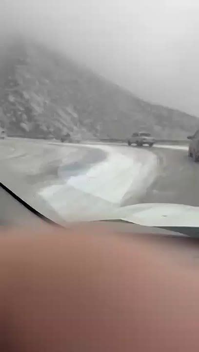 ����������� ������������ ������ ������ ���� �� ���������� �������� � �������� ������������ ����������� ���������