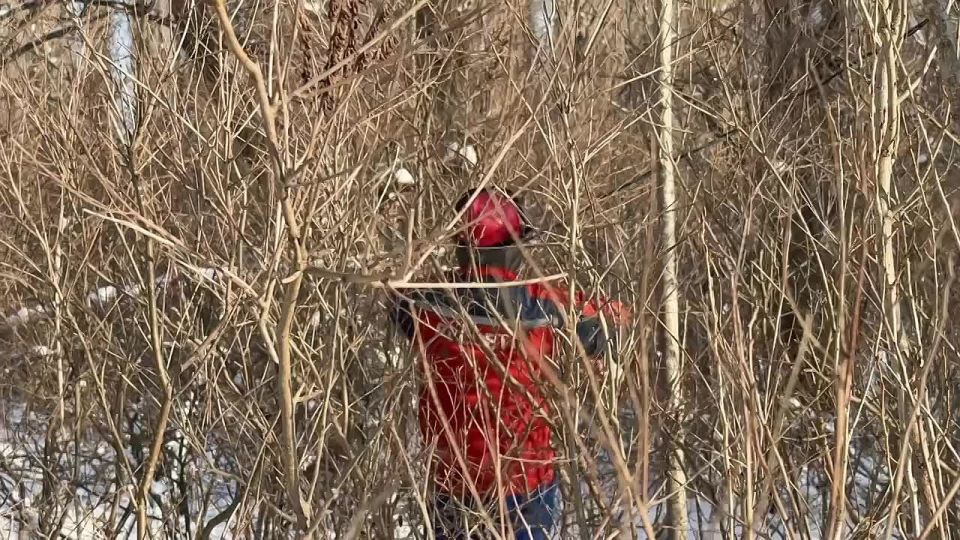 �������� ������ ����������� ��������� �� ������ ��������������� �������� �������, �� � ������ ��������������