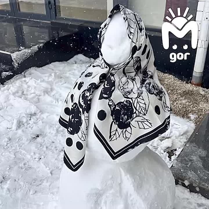 ���� ������ �� ����� �������