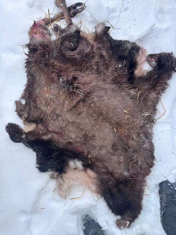 ��������� ������� �� ���� �������: