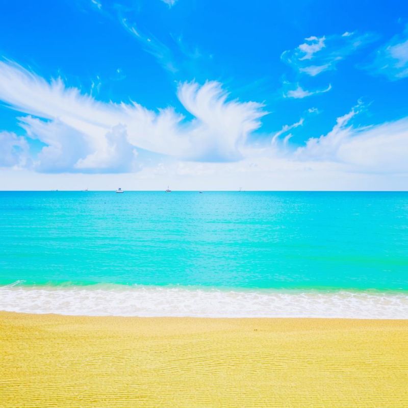 � ��������� ��� ������� ������� 115 ��������� ��������