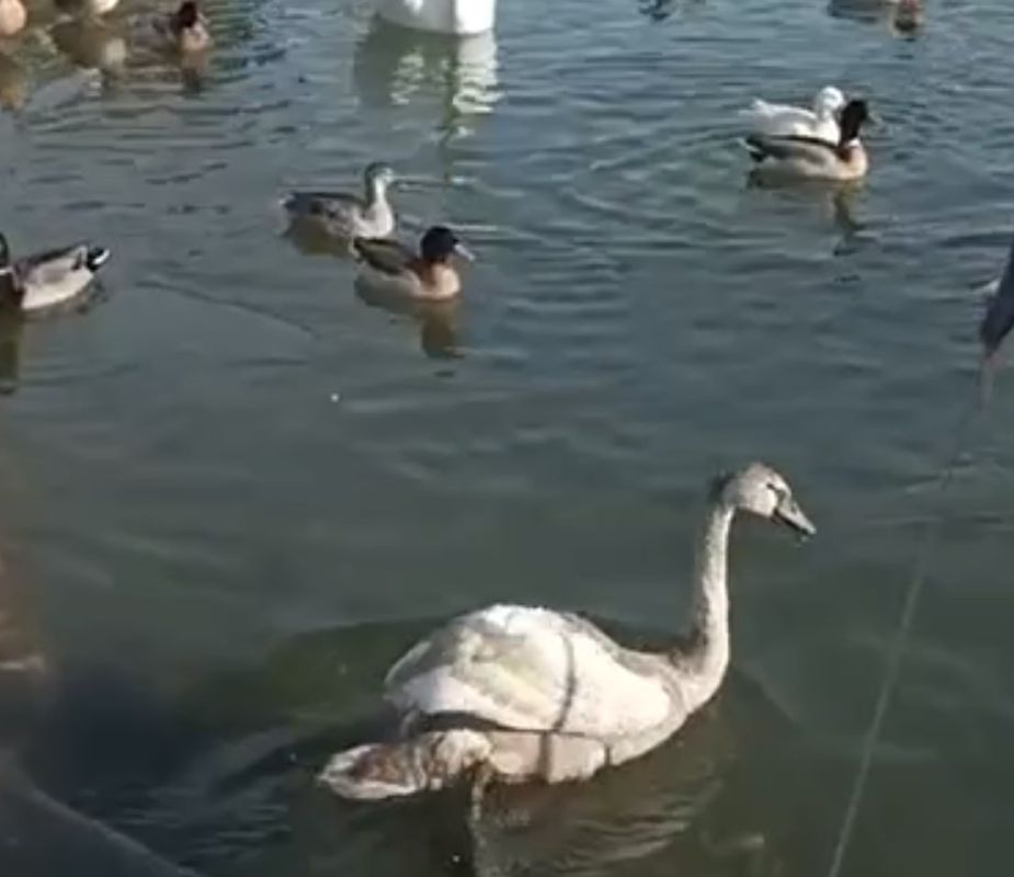 � ��������� ������ ����������� ������