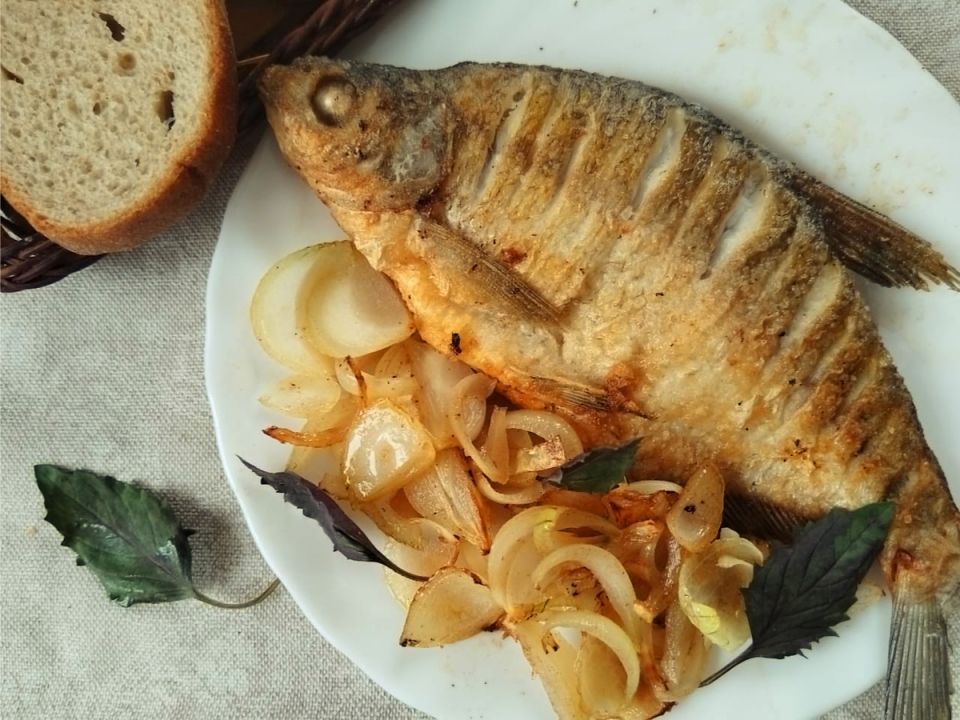 ������ ����� ������ ���� ����� ������ ����