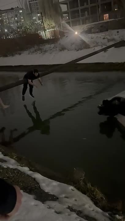 ����������� �������� � ���������: ��������� ������ ������� ������� � ��� ������ ��������� �� ������� ����������