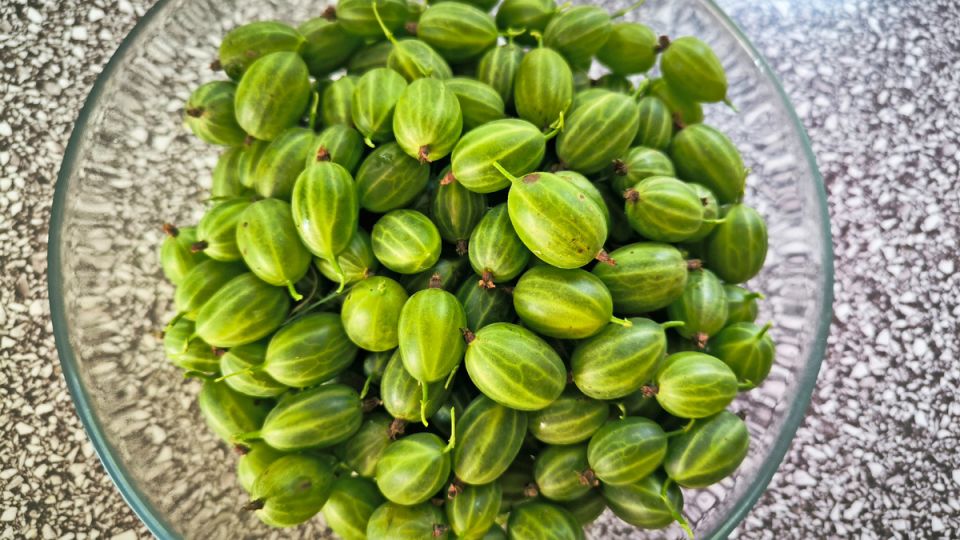 ��� ���������� ��������� �� ����: ��������� ������ � �������