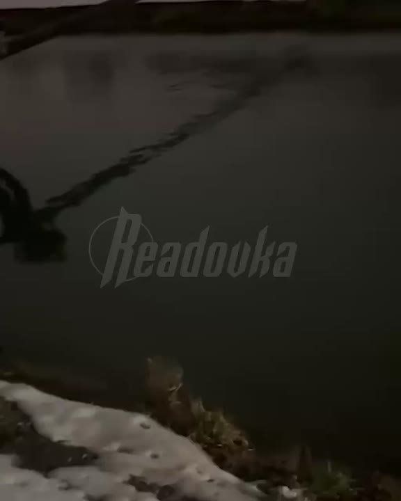 ��������� �������� ������ ���� � �������� �� �������� ����� � ���������