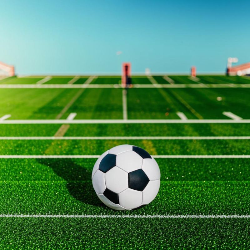 �������������� ������� ���������� ������ ������ �������� �����������