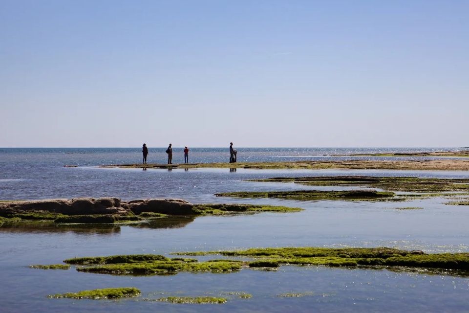 � ��������� ��������� ������� ����� ��� ����� ����������