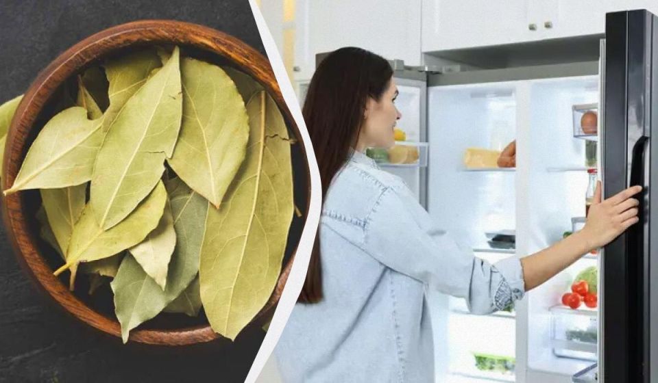 �������� ���� ��� ����� ����������: ������ ������������� � ���������� ���������