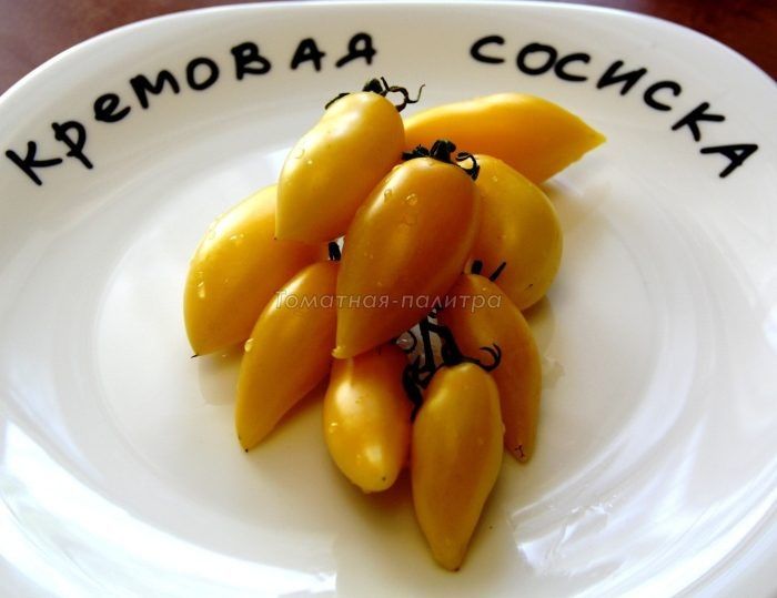 �������� �������: ��������� ����� ������� � ���������� ������ � ����������