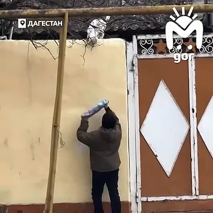 �����������. ������ �����. ������� ��� ��� ������� ��������� � ���� �� ���������