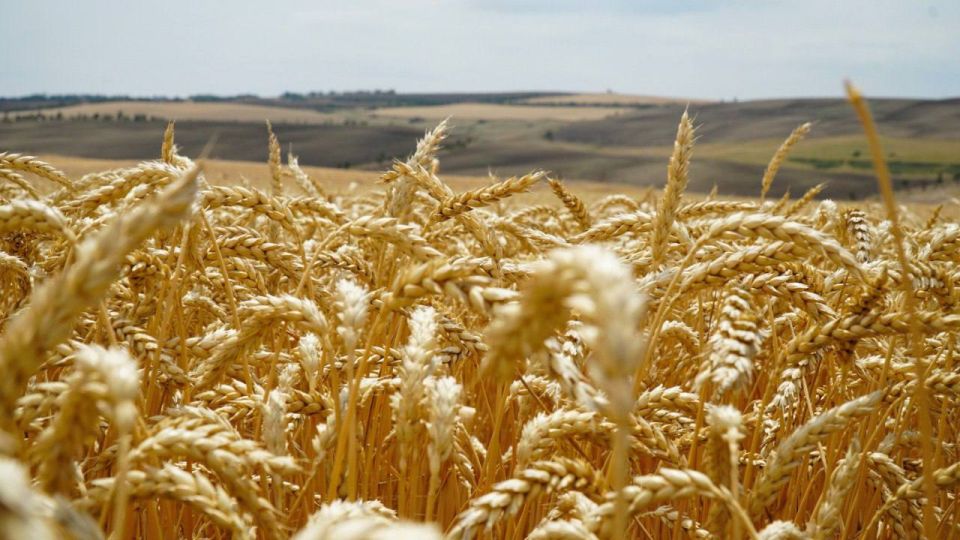 ������ ����� � ��������� � ���� ���� ����� ������� 220 ����� ���� � �� 3 ������ ���� ������ ������ 2025-��