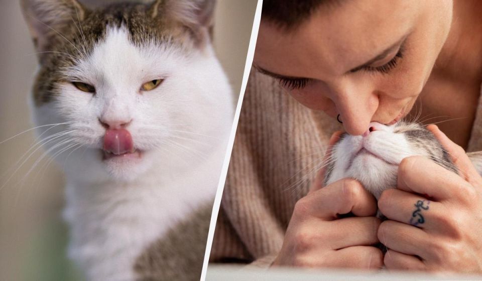 ������ ����� ���������� ��� � ��� �� ����� ���� ��� ������