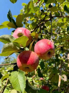 ������� ���������� ������ ��� ������������ �������� � ��� � ������