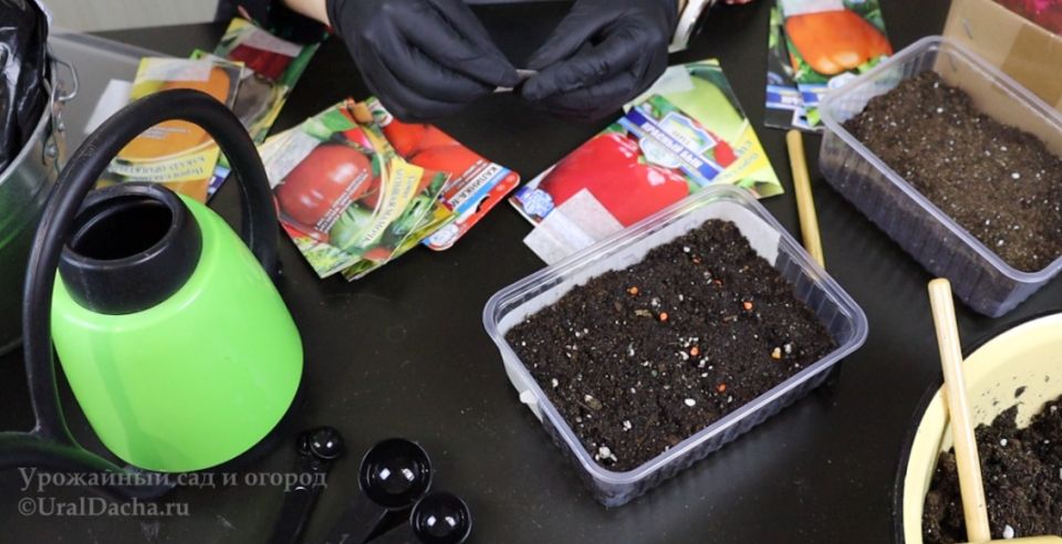 ����� �� ������� ���������: ��� ��������� ����������� ������ ��� �����