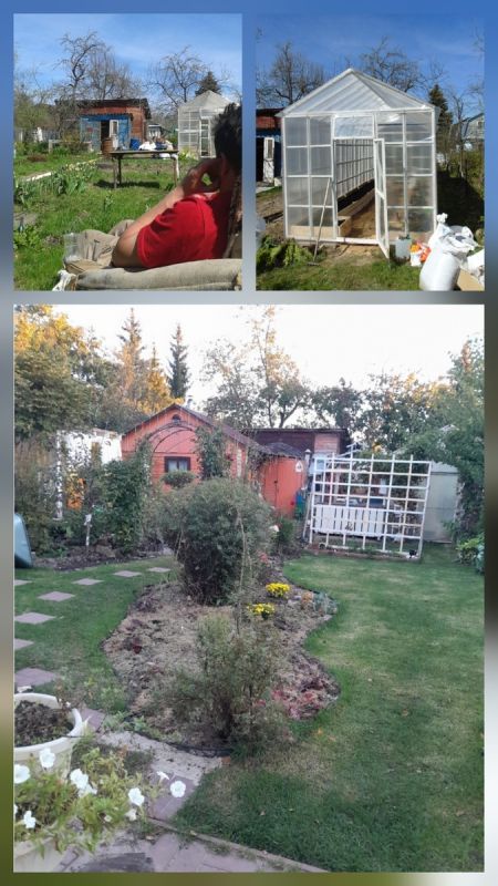 ���� � ���� �����: ��������� ������������ ������� �������� �������