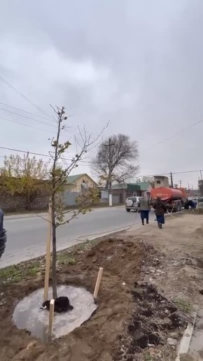 � ������� ���������� ����� 2025 ���� �� ����� ������ ���� �������� ������� ������ "������"