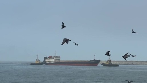 � ��������� ����� ��������� ��������� ������������ �������� �� �������� ������ ��������� �����