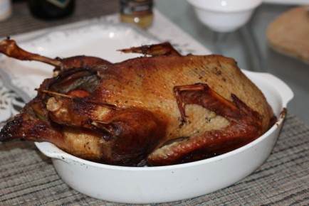 ���-5 �������� ����������� �����, � ������� �������� ������ ��������� ��������������