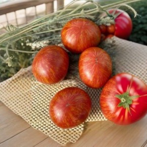 ����� ���������� ���������: ��� ��������� ������������ ���� � ���������� ������