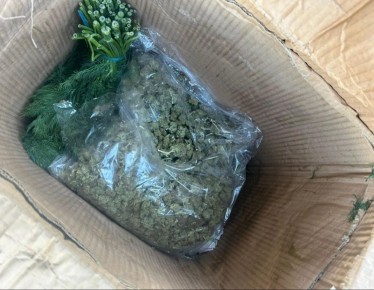 � �������� ��� ����� ��������� ������ ������ �������� �������� ���������