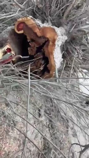 ������� ����� �� ��. ������ ����� ����������� ��������������� �������