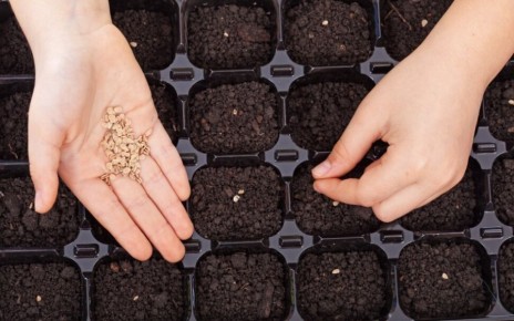 �� ����� ��������� �������� ����������� �����: ���� �����������