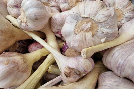 ������ ������ ���������� � ��������: ������� ������ ��������� ������ �� �����