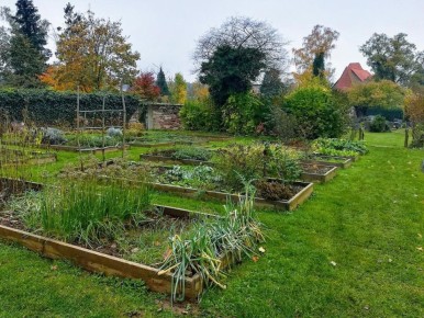 ���������� � �������: ��� ��������� ������ ����� ����