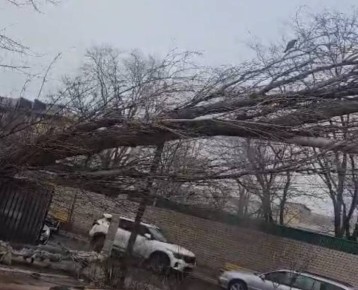 ������� ������ �� ����� ���� �� ��. �. ��������, 162 ��������� ������ ��� ������� ������� � �������� �����