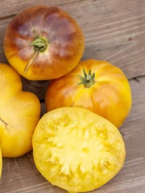 ����� ����: ������������� � ������� ������� ��� �����������