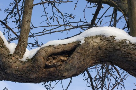 ��� ������������� ������� ����� �� �������� ��������