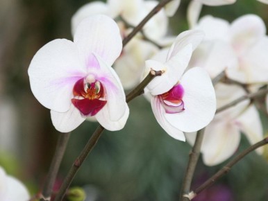 ��� �� ��������� ������ � ����� �� ���������: ������ � �������