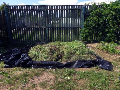 ��� ������ �������� �������: ������� ��������� ��������