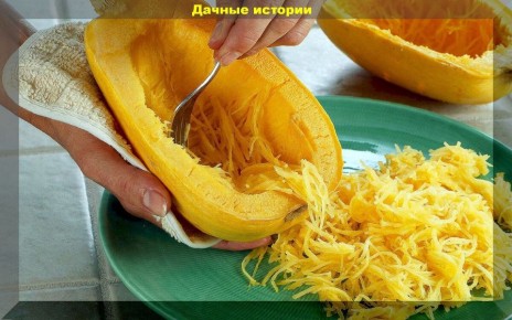 ���������� ����� �����, ������� ������� ������ �����������