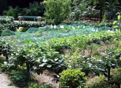 ������� ������: ������� ���������� ��� ������ ����