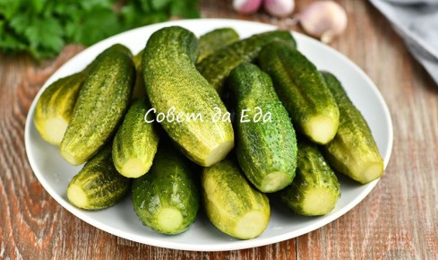 ������, ������� ��������: ������ � ������