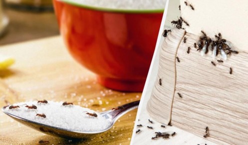 ��� ������ ���������� �� �������� � ������� ������