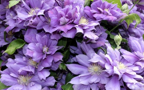 ����������� �����: ��������� �������� ��� ������ ����