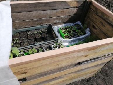 ������� ������ �������: ��� ������� ��� ����� �������?